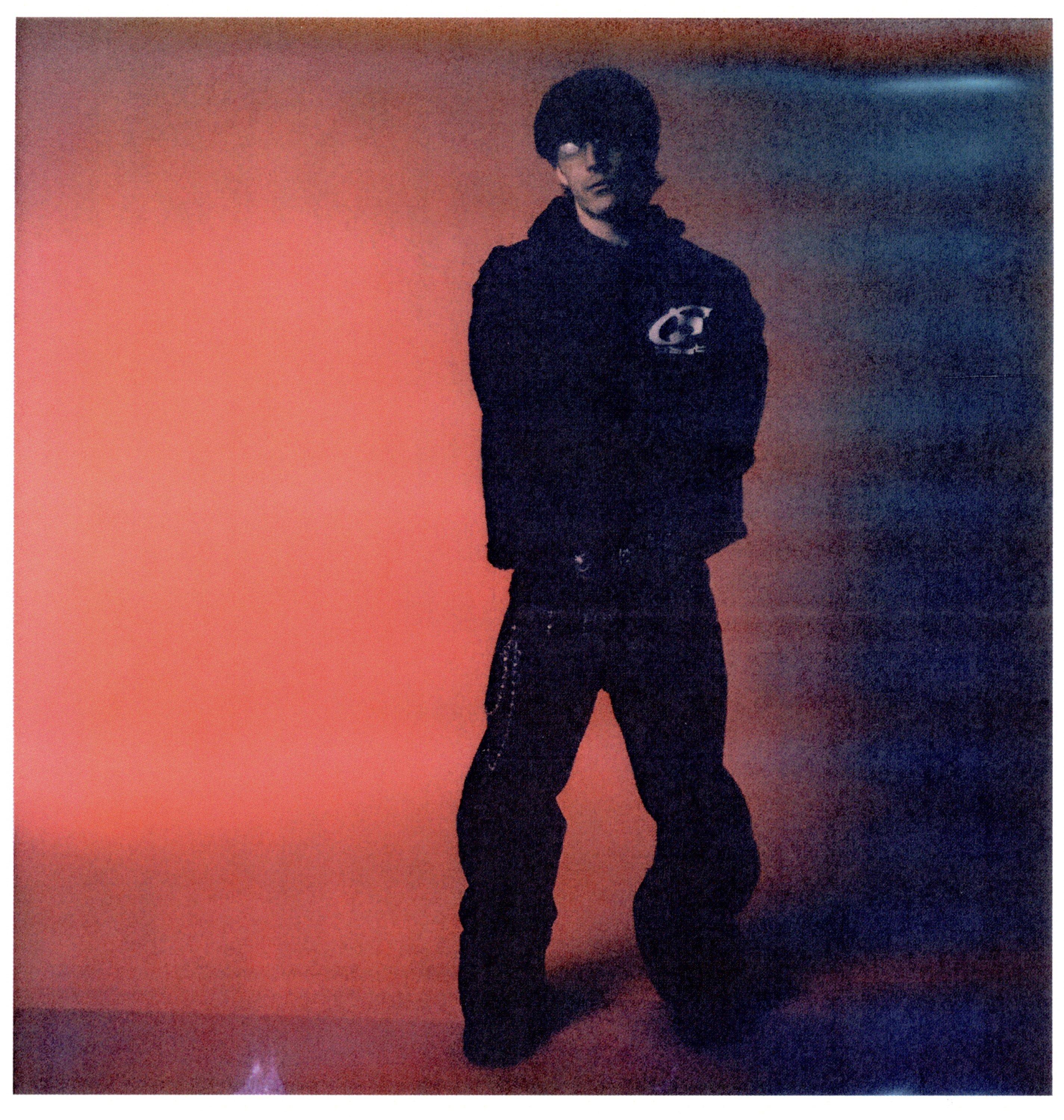 Collage Image 22